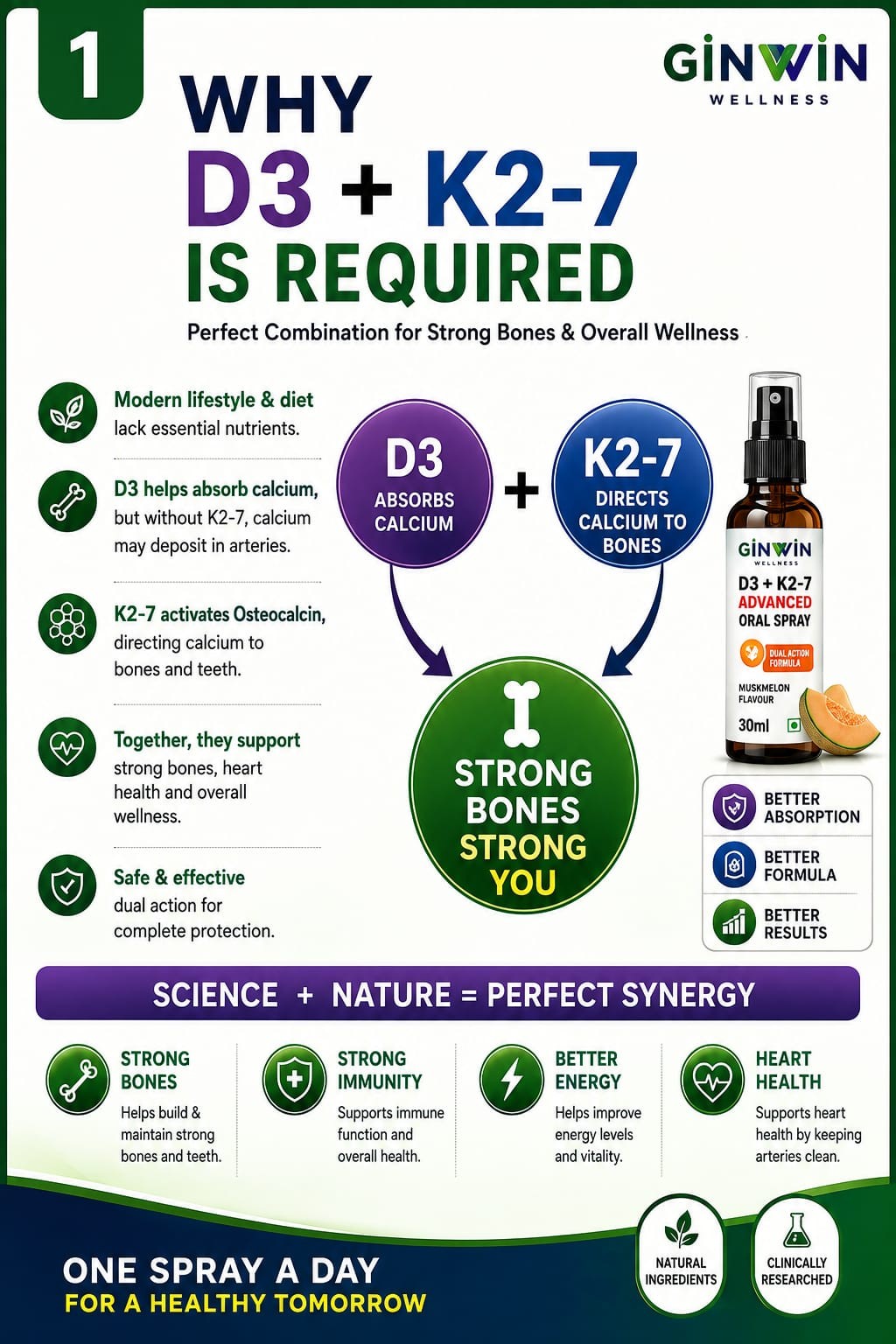 Why Vitamin D3 and K2-7 are combined educational visual