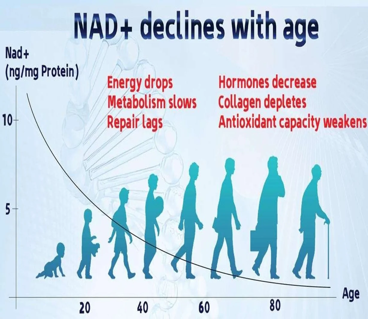NAD plus levels declining with age